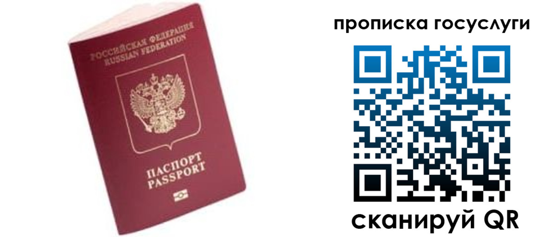 прописка в Николаевске